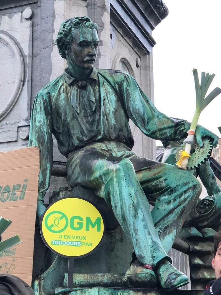 beeld prei gmo