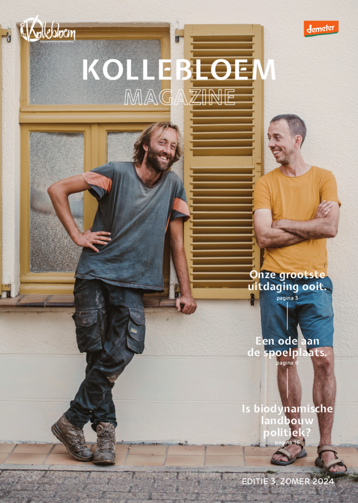 cover magazine 3